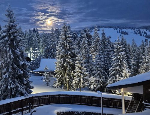 Weekend All Inclusive la Hotel Four Seasons – Schi, petreceri și relaxare de vineri până duminică