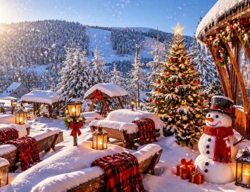 🎄 CRĂCIUN DE POVESTE ÎN APUSENI 2026