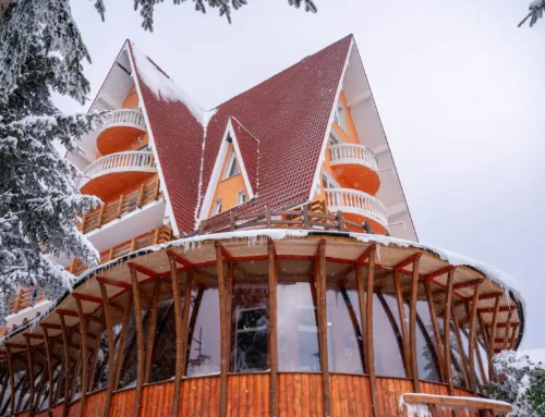 ❄️ ÎNTRE CRĂCIUN ȘI REVELION 2026